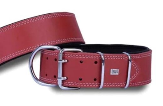 Doggie Ayarlanabilir Boyun Köpek Tasması 6 x 60 - 70 cm Kırmızı