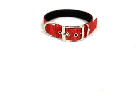 Ehlipet Ayarlanabilir Boyun Köpek Tasması 3 x 40 - 48 cm Kırmızı