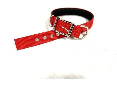 Ehlipet Ayarlanabilir Boyun Köpek Tasması 3 x 40 - 48 cm Kırmızı