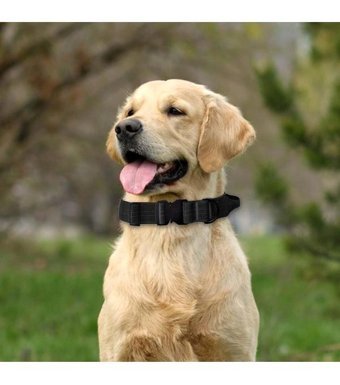 Magideal Ayarlanabilir Boyun Köpek Tasması M Siyah