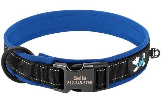 Bba İsimli Ayarlanabilir Boyun Köpek Tasması L Mavi