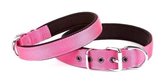 Doggie Comfort Ayarlanabilir Boyun Köpek Tasması 2.5 x 42 - 50 cm Mor