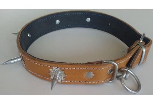 Le-Sar Ls-710 Ayarlanabilir Köpek Tasması 3 x 60 cm Çok Renkli