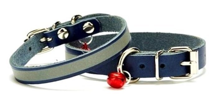 Doggie Ayarlanabilir Köpek Tasması 1.5 x 29 cm Mavi