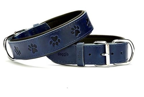 Doggie Comfort Ayarlanabilir Boyun Köpek Tasması 4 x 47 - 55 cm Mavi