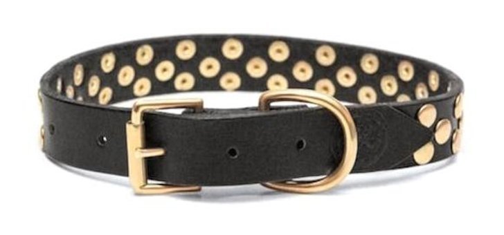 CecePet Aten Ayarlanabilir Köpek Tasması 46 - 55 cm Siyah