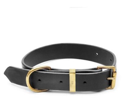 CecePet Mihos Ayarlanabilir Köpek Tasması 46 - 55 cm Siyah