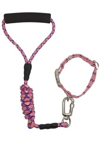 Zichen Lux Ayarlanabilir Boyun Köpek Tasması M Mor - Pembe