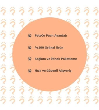 Zichen Lux Ayarlanabilir Boyun Köpek Tasması M Mor - Pembe
