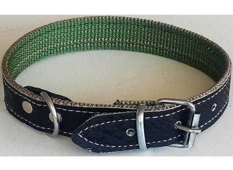 Le-Sar Ls-07 Ayarlanabilir Köpek Tasması 2.5 x 40 cm Çok Renkli