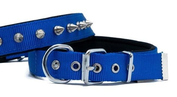 Doggie Konfor Ayarlanabilir Boyun Köpek Tasması 2.5 x 37 - 45 cm Mavi