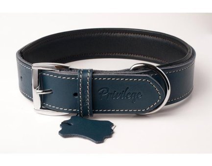 Privilege Ayarlanabilir Boyun Köpek Tasması 2.5 x 32 - 41 cm Mavi