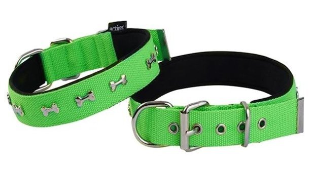 Actirex Ayarlanabilir Boyun Köpek Tasması 3 x 42 - 50 cm Yeşil