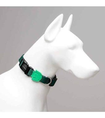 Lindo Brazil Ayarlanabilir Boyun Köpek Tasması L Yeşil