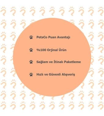 Zichen Lux Ayarlanabilir Boyun Köpek Tasması L Mor - Sarı