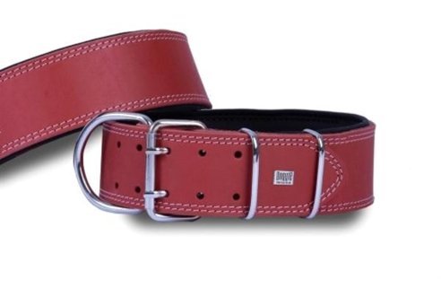 Doggie Ayarlanabilir Boyun Köpek Tasması 6 x 55 - 65 cm Kırmızı