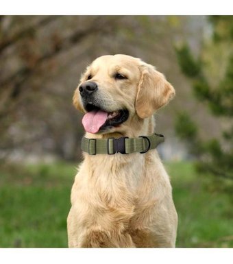 Magideal Ayarlanabilir Boyun Köpek Tasması L Yeşil