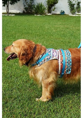 Patipatron Kaçış Önleyici Ayarlanabilir Göğüs Köpek Tasması 3XL Mavi