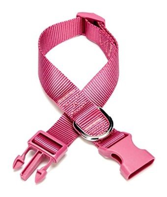 Doggie Classic Ayarlanabilir Boyun Köpek Tasması 2.5 x 40 - 50 cm Mor