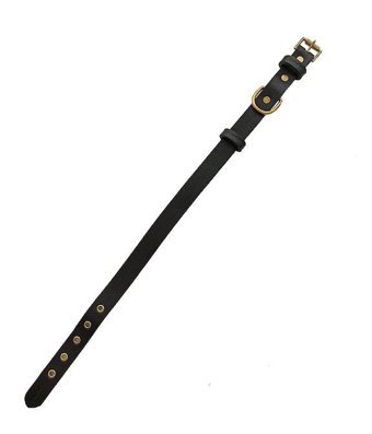 CecePet Tengri Ayarlanabilir Köpek Tasması 46 - 55 cm Siyah
