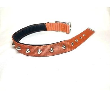 Ehlipet Ayarlanabilir Boyun Köpek Tasması 3 x 55 - 45 cm Turuncu