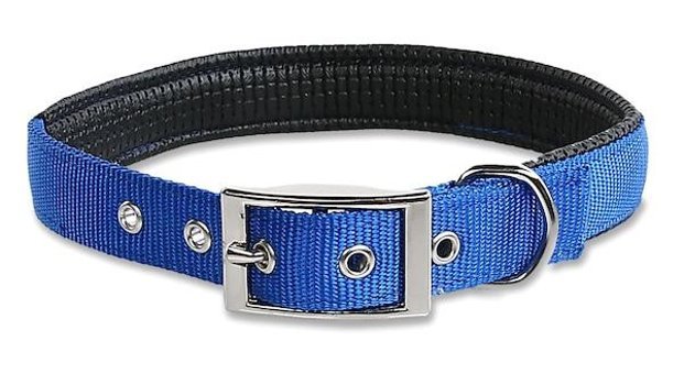 Luxury Paws Ayarlanabilir Boyun Köpek Tasması 3.2 x 70 cm Mavi