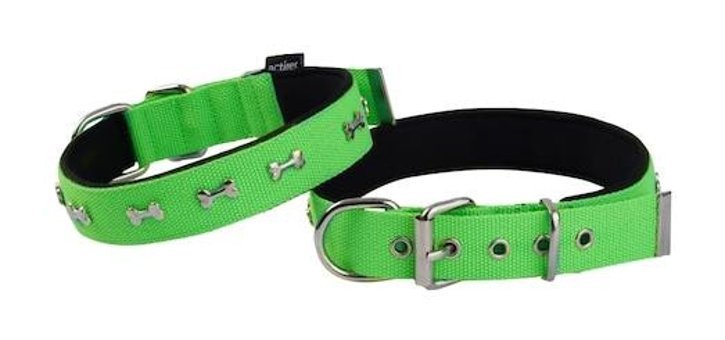 Actirex Ayarlanabilir Boyun Köpek Tasması S Yeşil
