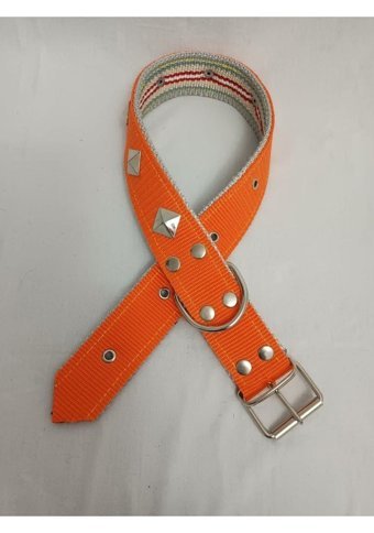 Kozaklı 10465 Ayarlanabilir Köpek Tasması 4 x 70 cm Turuncu
