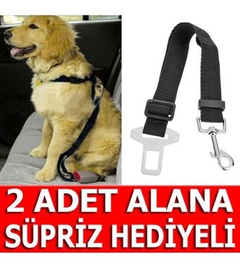 Bundera Ayarlanabilir Köpek Tasması Lacivert