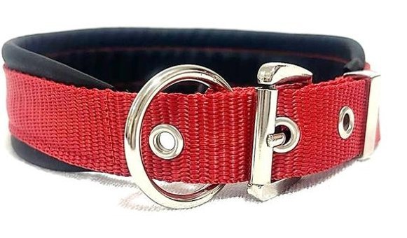 Ehlipet Ayarlanabilir Boyun Köpek Tasması 4 x 50 - 40 cm Kırmızı