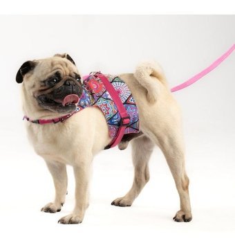 Patipatron Ayarlanabilir Göğüs Köpek Tasması XL Pembe