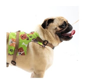 Patipatron Ayarlanabilir Göğüs Köpek Tasması L Çok Renkli