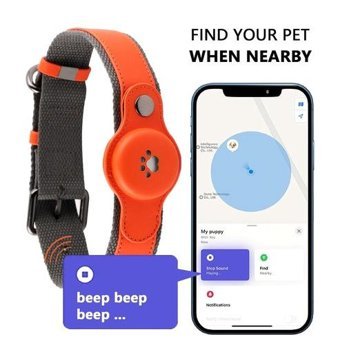 Doggie Ayarlanabilir Köpek Tasması Turuncu