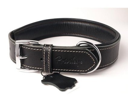 Privilege Ayarlanabilir Boyun Köpek Tasması 2.5 x 32 - 41 cm Siyah