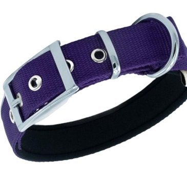 Doggie Elit Ayarlanabilir Boyun Köpek Tasması 2.5 x 42 - 50 cm Mor