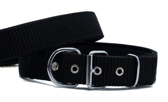 Doggie Elit Ayarlanabilir Boyun Köpek Tasması 4 x 47 - 55 cm Siyah
