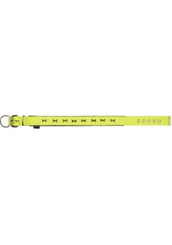Actirex Ayarlanabilir Boyun Köpek Tasması 2.5 x 37 - 45 cm Sarı