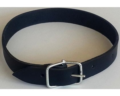 Le-Sar Ls-26 Ayarlanabilir Köpek Tasması 2.5 x 60 cm Çok Renkli