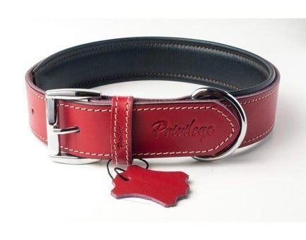 Privilege Ayarlanabilir Boyun Köpek Tasması 2.5 x 32 - 41 cm Kırmızı