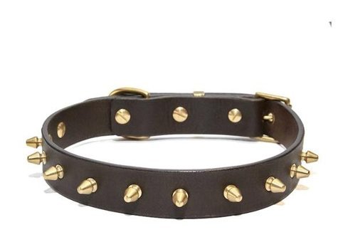 CecePet Thor Ayarlanabilir Köpek Tasması 36 - 45 cm Kahverengi