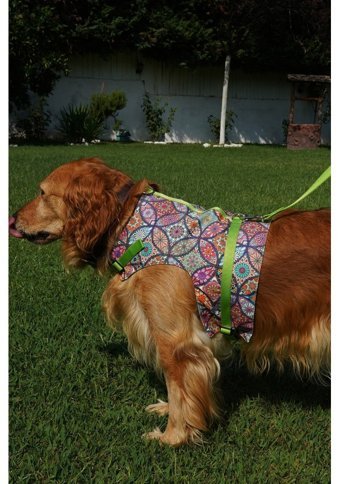 Patipatron Kaçış Önleyici Ayarlanabilir Göğüs Köpek Tasması 4XL Yeşil