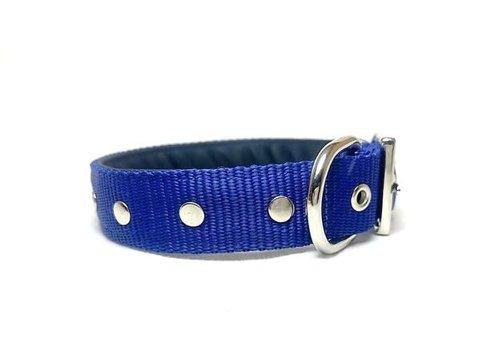 Ehlipet Ayarlanabilir Boyun Köpek Tasması 3 x 55 - 45 cm Mavi