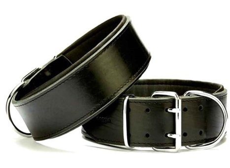 Doggie Sbt4010 Ayarlanabilir Boyun Köpek Tasması Siyah