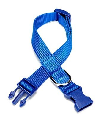 Doggie Classic Ayarlanabilir Boyun Köpek Tasması 2 x 30 - 45 cm Mavi