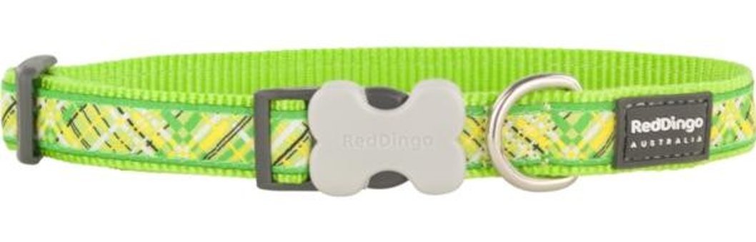 Reddingo Ayarlanabilir Boyun Köpek Tasması 1.5 x 24- 36 cm Çok Renkli