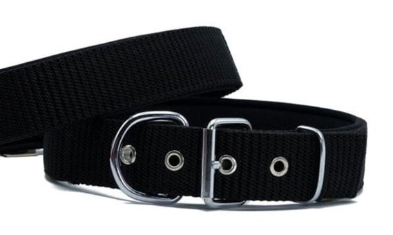 Doggie Elit Ayarlanabilir Boyun Köpek Tasması 4 x 52 - 60 cm Siyah