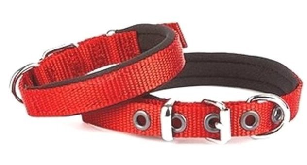 Doggie Konfor Ayarlanabilir Boyun Köpek Tasması Kırmızı