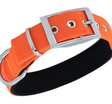 Doggie Elit Ayarlanabilir Boyun Köpek Tasması 3 x 42 - 50 cm Turuncu
