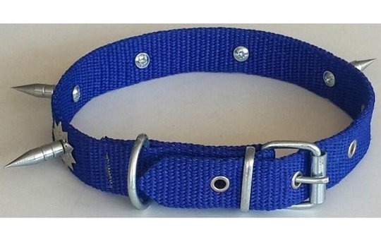 Le-Sar Ls-700 Ayarlanabilir Köpek Tasması 2.5 x 50 cm Çok Renkli