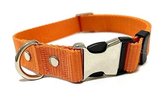 Ehlipet Ayarlanabilir Boyun Köpek Tasması 35 - 55 cm Turuncu